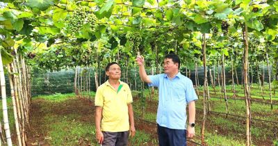 Nâng cao năng lực lãnh đạo của bí thư đảng ủy cấp xã