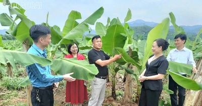 Khi nông dân sát cánh làm giàu