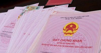 Luật Đất đai 2024: Diện tích bao nhiêu thì được cấp sổ hồng?