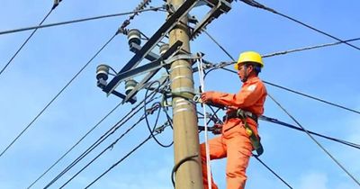 Lịch cúp điện Lâm Đồng ngày 12/6/2026: Bảo Lộc, Đơn Dương, Lâm Hà, Cát Tiên, Bảo Lâm tạm ngừng cấp điện