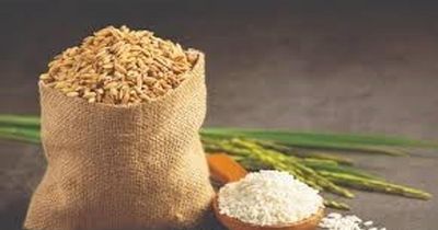 Giá lúa gạo ngày 11/6: Gạo nguyên liệu giảm nhẹ, giao dịch nội địa trầm lắng