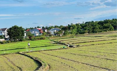 Vụ hè thu 2026: Không chỉ lo thiếu nước