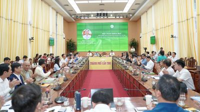 'Hiến kế' phát triển dịch vụ logistics thành phố Cần Thơ với vai trò trung tâm vùng Đồng bằng sông Cửu Long