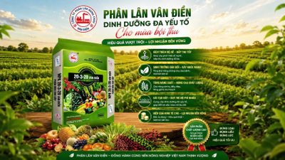 Đầu tư phân bón đúng cách, gia tăng giá trị mùa vụ
