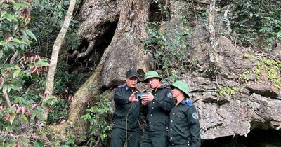 Tuyên Quang: Ban Quản lý rừng đặc dụng Nà Hang bảo vệ và phát triển rừng bền vững