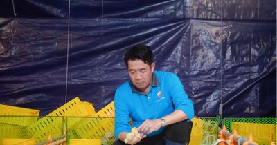 Vận hành tổ hợp gà thịt ứng dụng công nghệ Châu Âu tại Tây Ninh