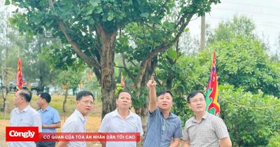 Đảm bảo điều kiện tốt nhất cho Lễ hội Đền Chiêu Trưng Đại Vương Lê Khôi