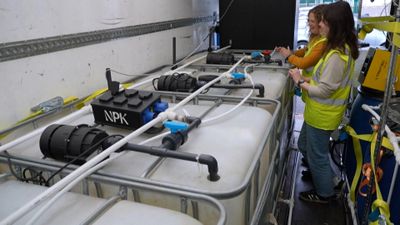 Biến nước tiểu thành phân bón: Giải pháp xanh từ nước Anh