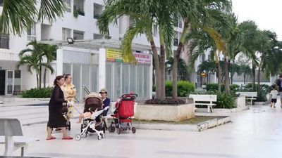 Mở rộng nguồn cung nhà ở giá rẻ với căn hộ 15 m²