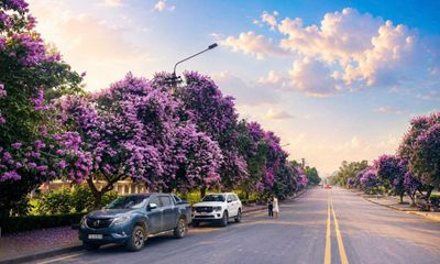 Sắc hoa mùa hạ tô điểm du lịch miền non nước