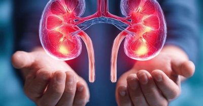 5 dấu hiệu ban đêm chứng tỏ thận của bạn rất khỏe mạnh