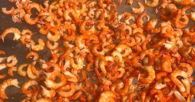 Loại hải sản 'tốt nhất thế giới', Việt Nam bán đầy chợ từ 70.000 đ/kg, làm đủ món đặc sản tốt cho sức khỏe