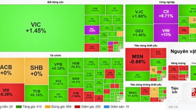 Nhận định chứng khoán 11/6: VN-Index trên 1.800, kháng cự tiếp theo 1.820 điểm