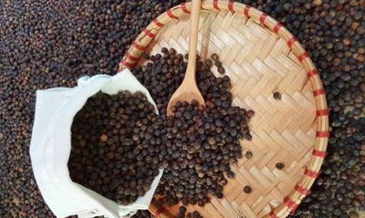 Giá tiêu hôm nay 11/6/2026: Trong nước đi ngang