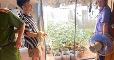 Bất ngờ với hệ thống 'mô phỏng' trồng cần sa trong nhà của gã thanh niên