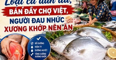 Loại cá dân dã, bán đầy chợ Việt, người đau nhức xương khớp nên ăn