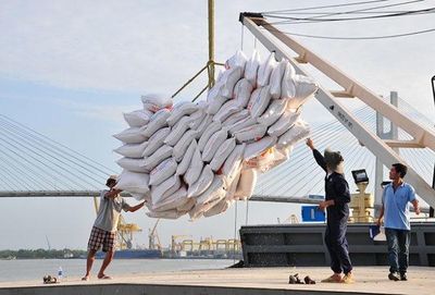 Phân cấp chứng nhận gạo thơm: Động lực tái cấu trúc ngành lúa gạo