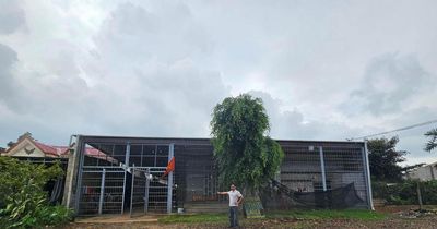 Vụ kiện liên quan thửa đất đã mua nhưng chưa được sang tên ở Đắk Lắk