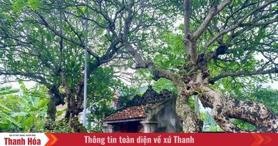Chuyện kể Quận công Mai An Dũng