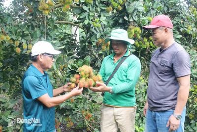 Vùng đất Suối Đục đổi thay