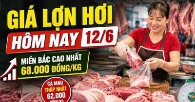 Giá lợn hơi hôm nay 12/6: Miền Bắc giữ đỉnh 68.000 đồng/kg