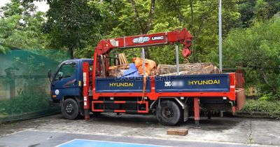 Tạm giữ phương tiện vận chuyển lâm sản để xác minh nguồn gốc