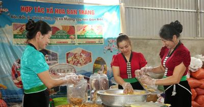 Giảm nghèo bền vững ở Điện Biên: Để vốn chính sách thành sức bật thoát nghèo