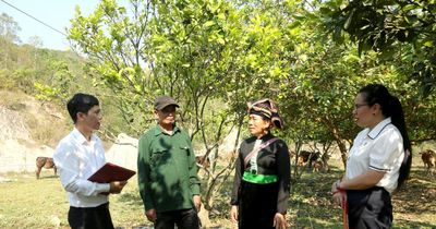Giảm nghèo bền vững ở Điện Biên: Điểm tựa lưng chừng núi