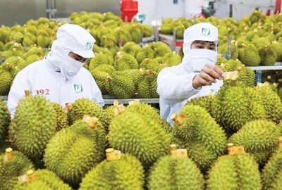Có dấu hiệu làm sai lệch kết quả kiểm nghiệm hợp thức hóa hồ sơ xuất khẩu nông sản