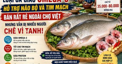 Loại cá giàu omega-3 hỗ trợ não bộ và tim mạch, bán rất rẻ ngoài chợ Việt, nhưng vẫn bị chê vì lý do này