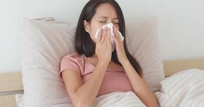 Sáng ngủ dậy nghẹt mũi, tối ho khan hãy thử ngay mẹo này