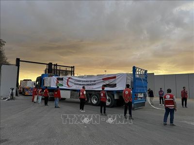 Israel bắt đầu trục xuất các nhà hoạt động trong đoàn tàu tới Gaza