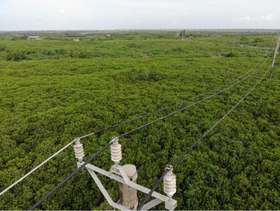 Đưa điện lưới ra phục vụ quân, dân Cồn Lu xã Giao Minh tỉnh Ninh Bình