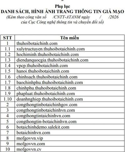 Nhan nhản website mạo danh, Bộ Tài chính đề nghị Bộ Công an vào cuộc xử lý