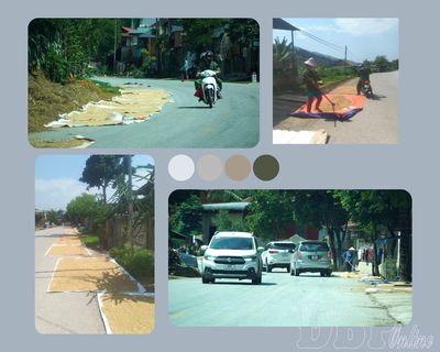 Nguy cơ mất an toàn giao thông từ phơi nông sản ven đường
