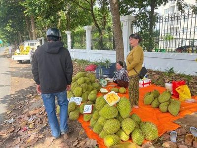 Sầu riêng giá rẻ tràn vỉa hè TP.HCM, người mua vẫn thấp thỏm lo chất lượng