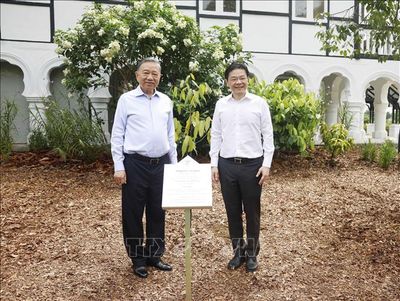 Tổng Bí thư, Chủ tịch nước Tô Lâm và Thủ tướng Lawrence Wong trồng cây tại Vườn Bách thảo Singapore