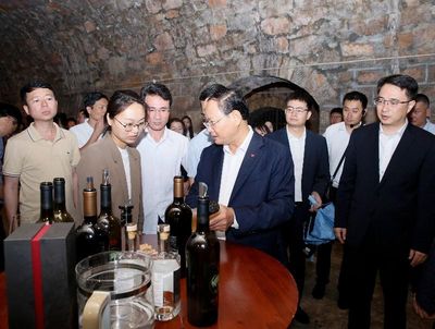 Bí thư Tỉnh ủy Lê Minh Ngân tham quan, khảo sát mô hình kinh tế tại Thành phố Di Lặc
