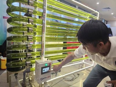 Khởi nghiệp nông nghiệp công nghệ cao không dễ