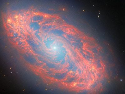 Ngoạn mục ảnh thiên hà xoắn ốc NGC 5134 khoe sắc