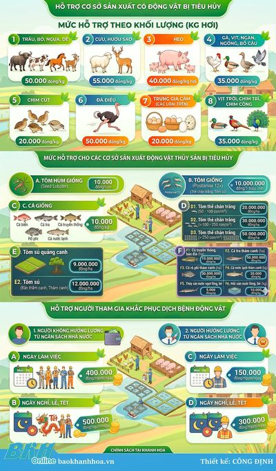 Triển khai chính sách hỗ trợ khắc phục dịch bệnh động vật