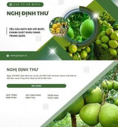 Trung Quốc cập nhật quy định đăng ký doanh nghiệp thực phẩm nhập khẩu