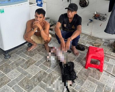 Săn 9 cá thể voọc bạc Đông Dương quý hiếm, 5 đối tượng bị tạm giữ hình sự