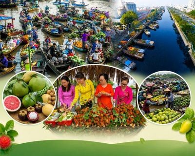 Tuần lễ trái cây 'trên bến dưới thuyền': Đưa đặc sản miền Tây đến gần người tiêu dùng thành phố