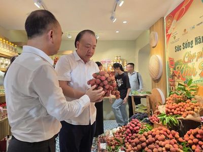 Xuất hiện 'chợ phiên Kinh Bắc' ở phố Tràng Tiền