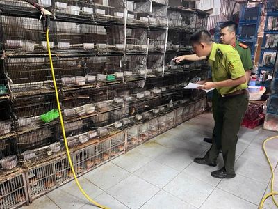 Hà Nội phát hiện hơn 250 cá thể động vật hoang dã bị nuôi nhốt trái phép