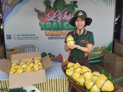 Bản đồ Việt Nam được làm từ đặc sản của Đồng Tháp