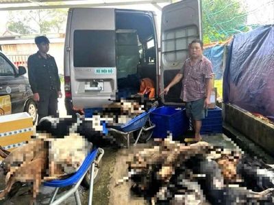 Bắt 9 nghi phạm chuyên trộm chó ở Tây Ninh đưa về TP.HCM tiêu thụ