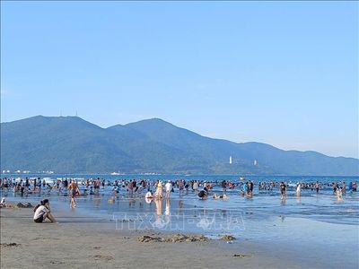 Sức hút mùa du lịch hè Đà Nẵng