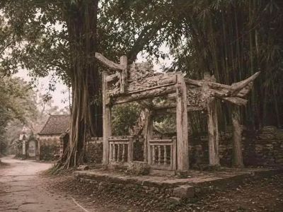 Thực hư 'cổng làng Việt Nam năm 1991' bị so với 'Tàn Chỉ' của Lê Giang